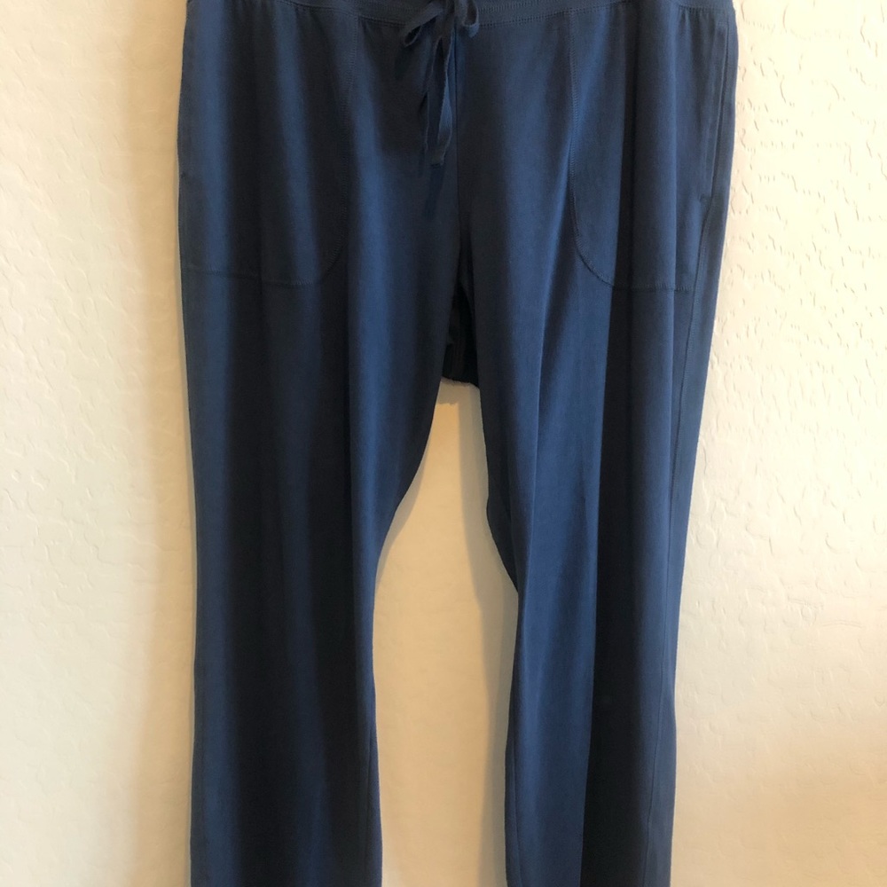 Brand New Athletic Works Casual Blue Pants XL/16